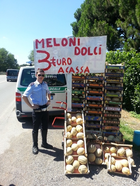 meloni_2.jpg