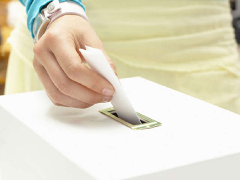 voto.jpg